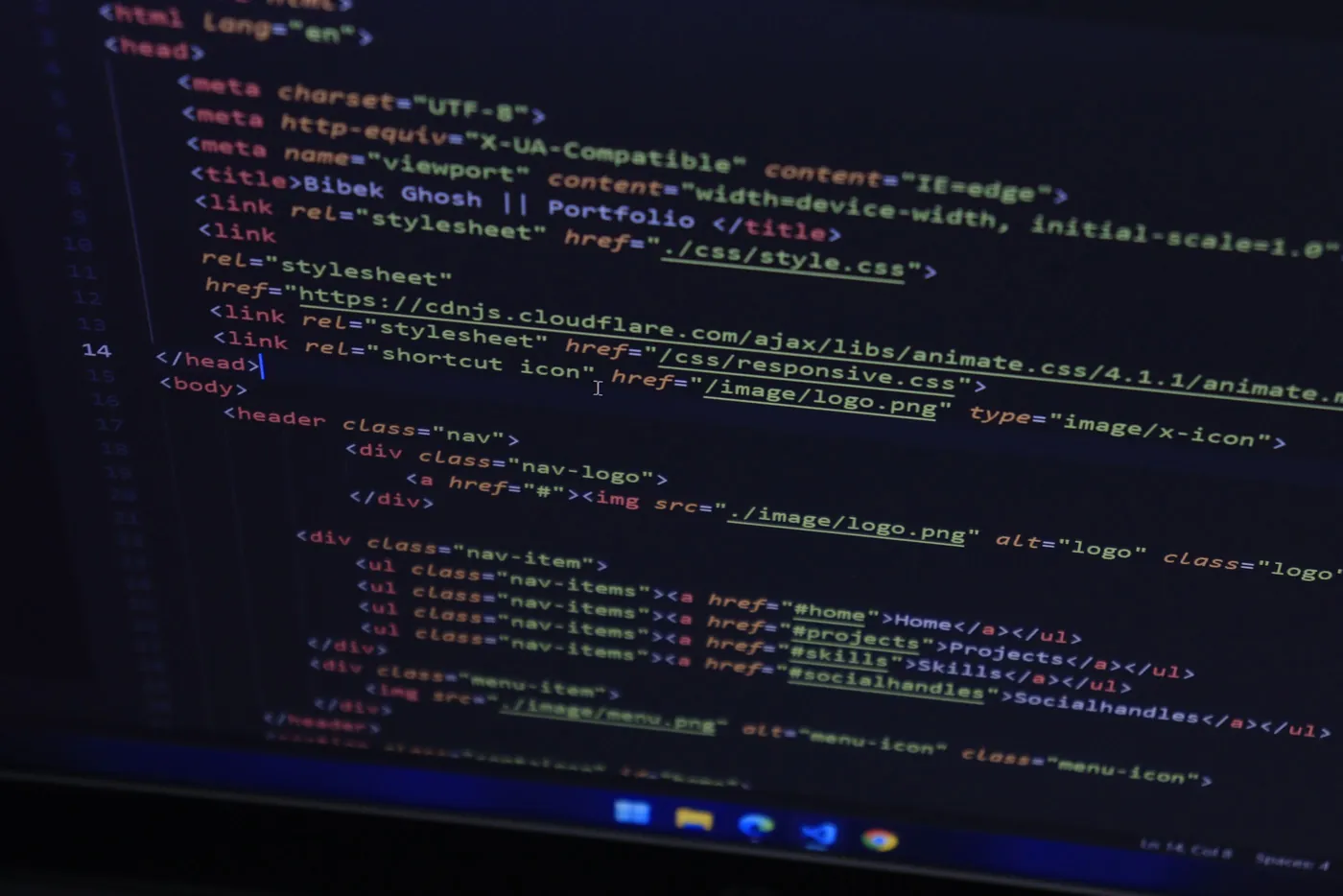 Custom software